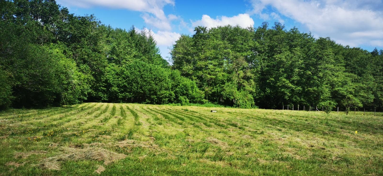 Vente Terrain à bâtir Bazas